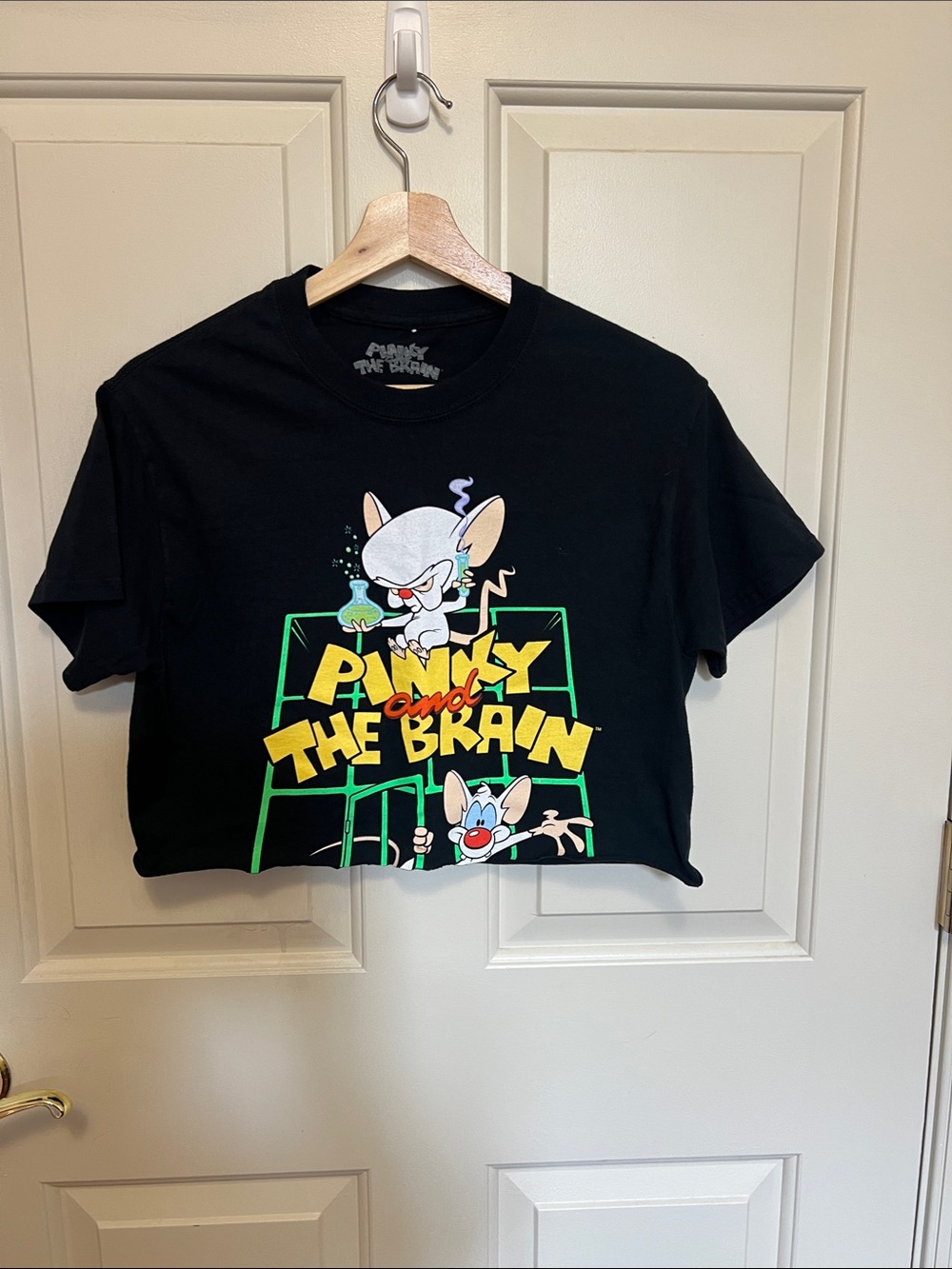 Pinky and The Brain Black  Graphic Crop Tee